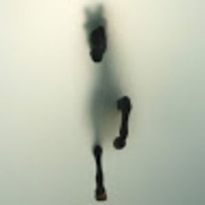 Meet your Posher, Dianna